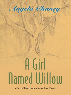cover image of A Girl Named Willow
